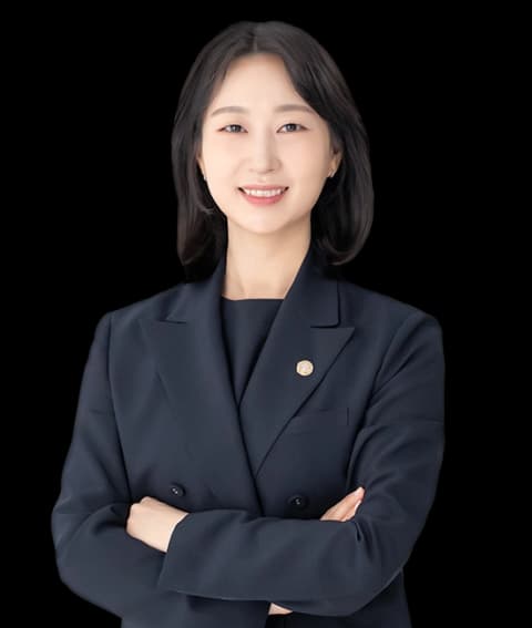 일산인지청구변호사 undefined